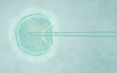 La vie à quel prix ?