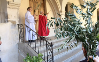 Dimanche des Rameaux 2020