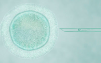 Quel sens à la vie ?