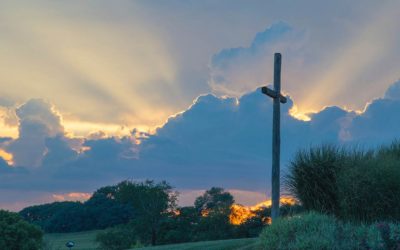 Homélie 5ème dimanche de Pâques